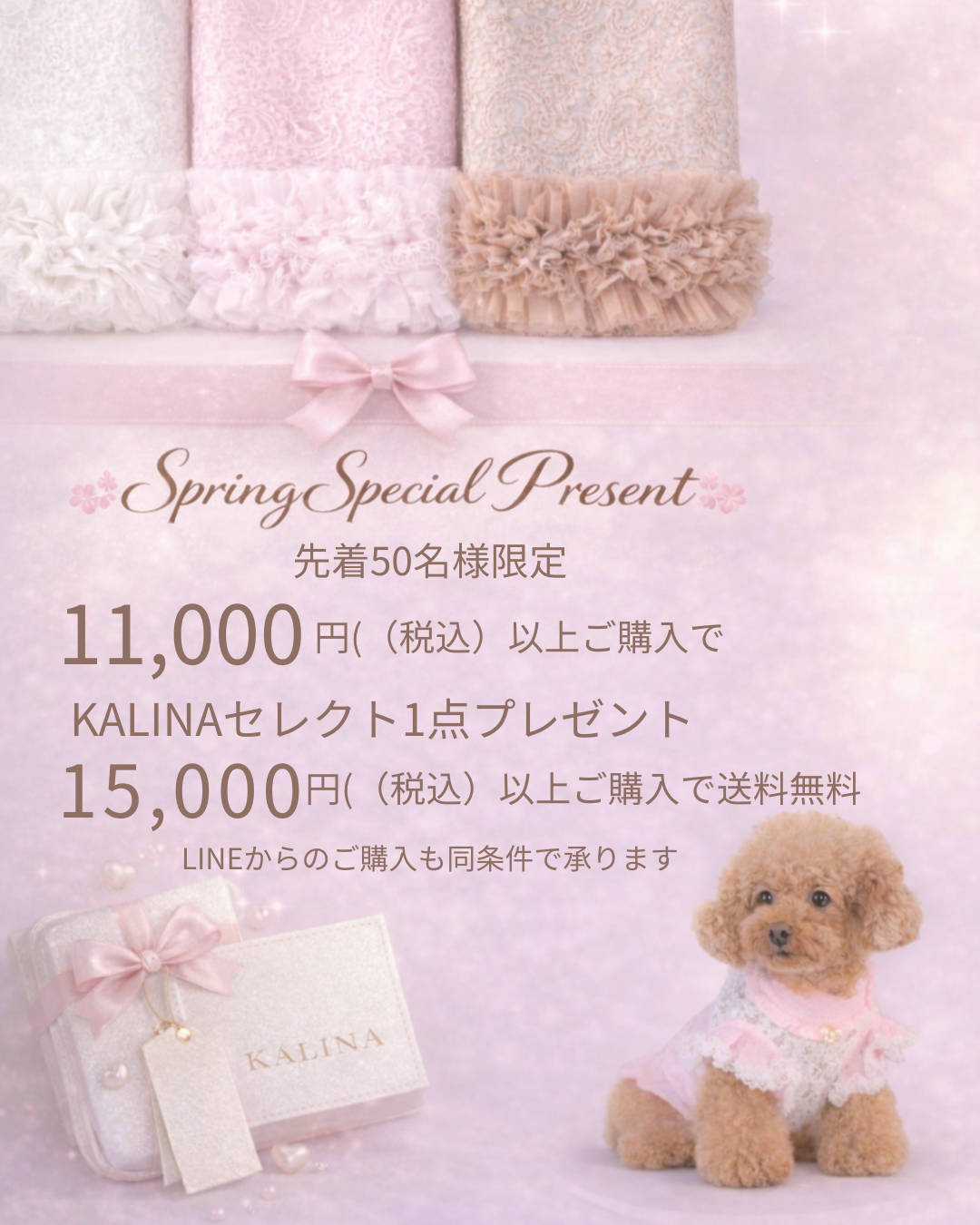 🌸春のスペシャルプレゼントキャンペーン🌸