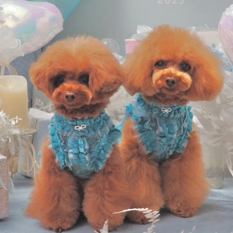 総レースワンピースが人気急上昇しています！