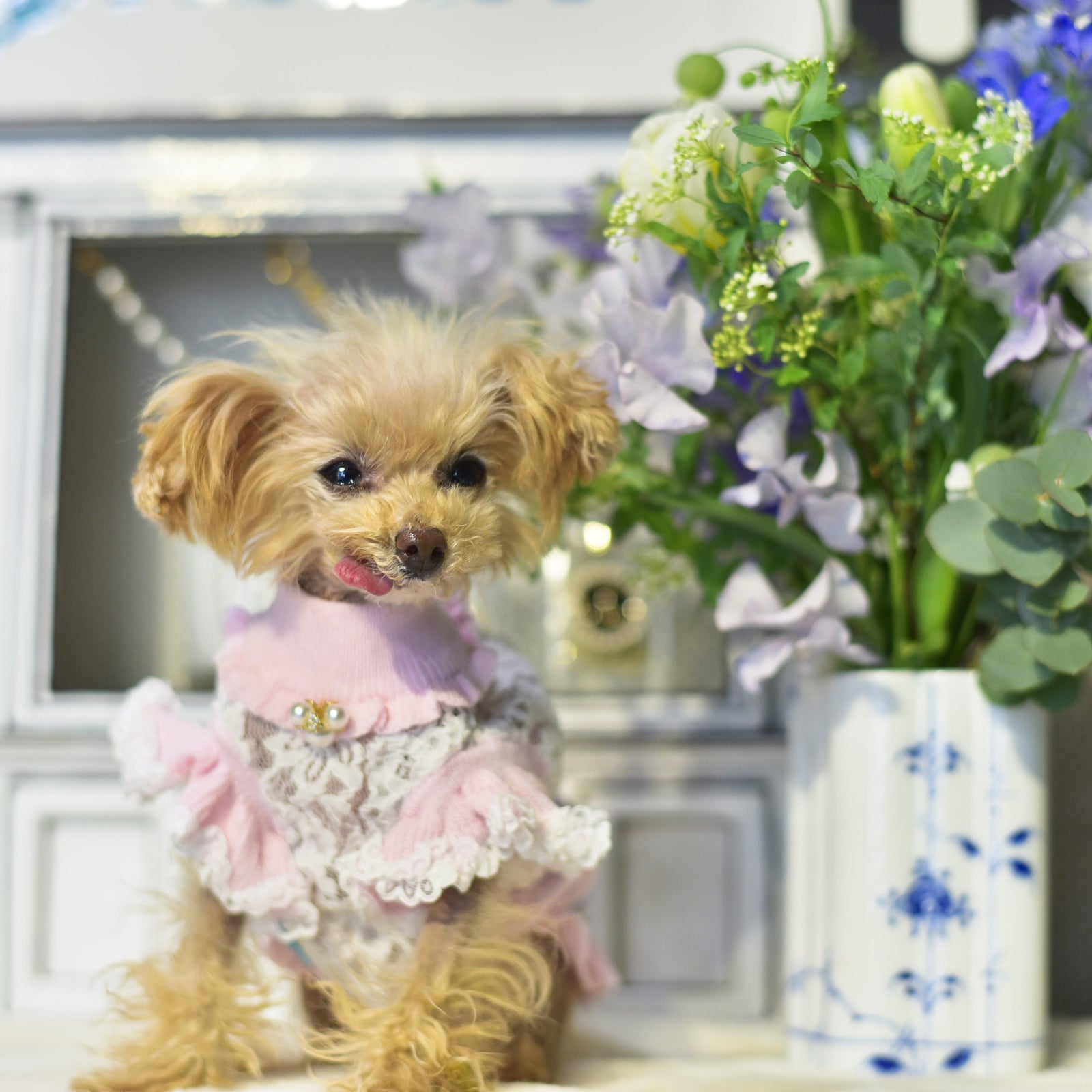 ニットの何が良いの？