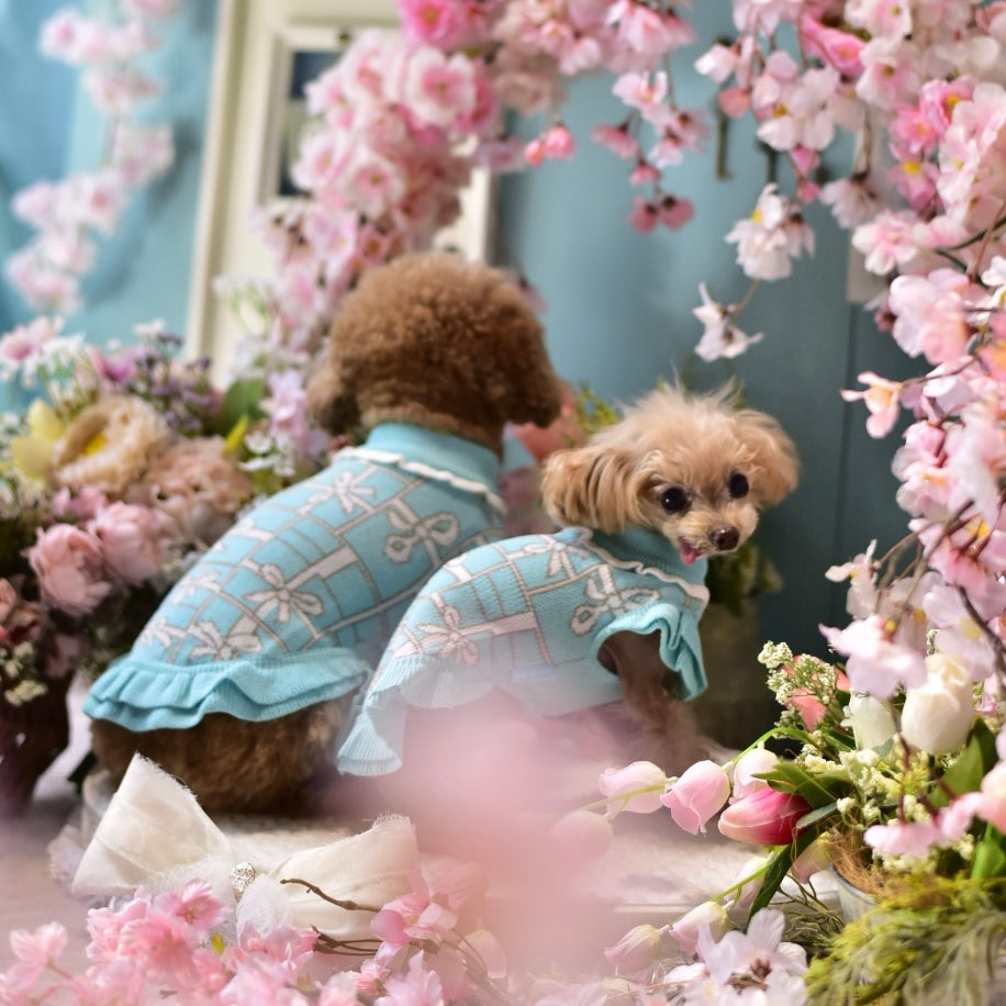 人気！ニットプレゼントボックスワンピース