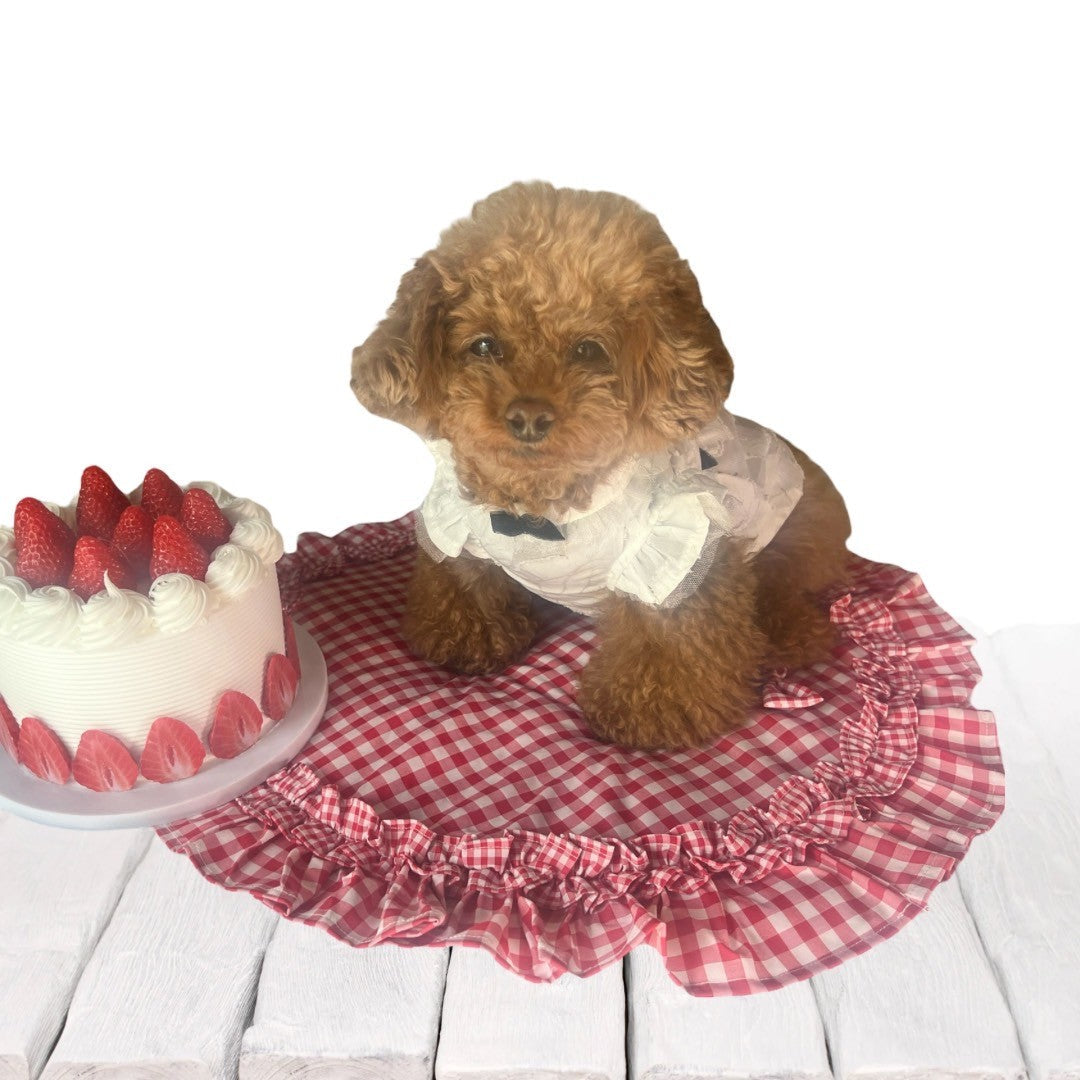 春のお出かけにぴったり　ギンガムチェックサークルカフェマット