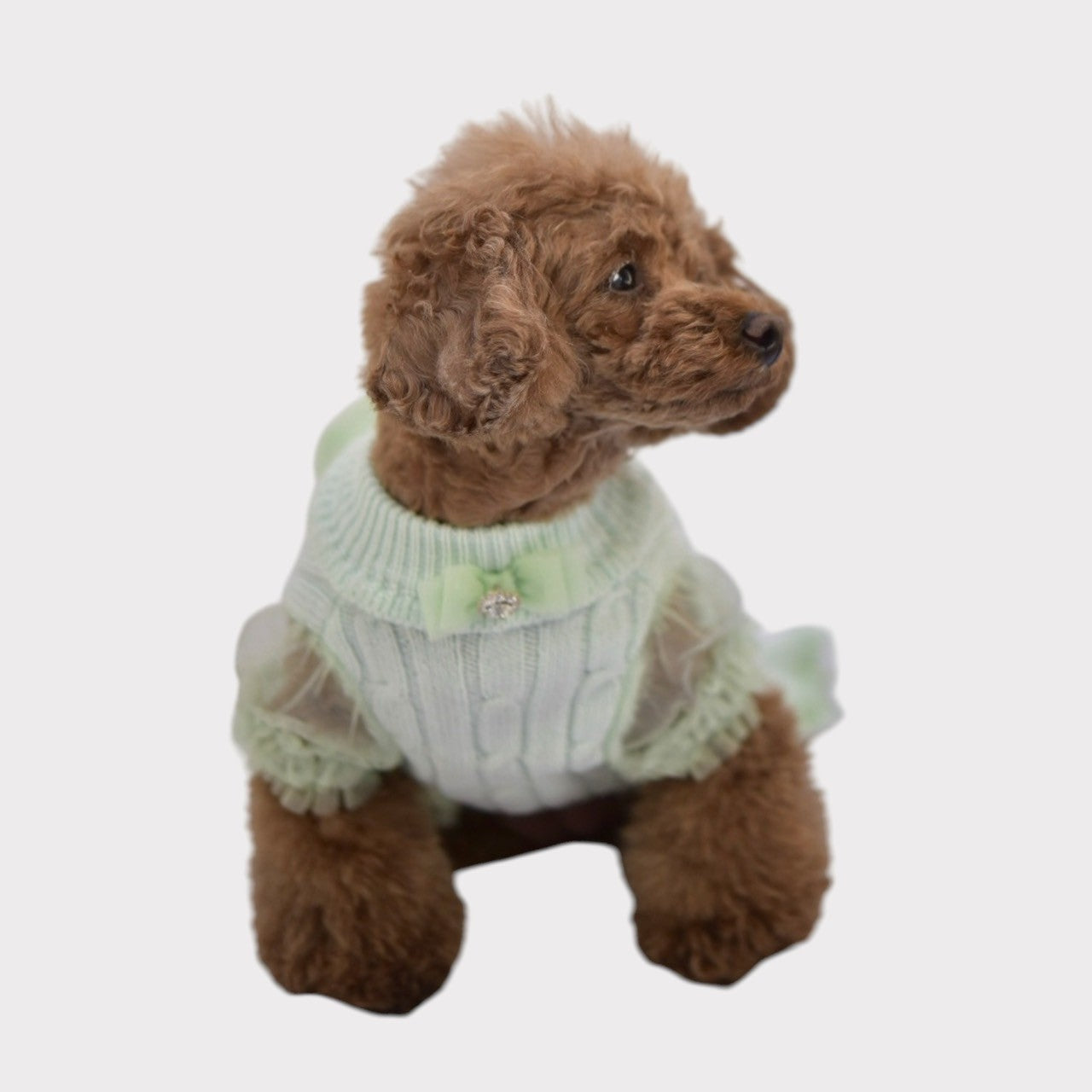 MELLOW　COLORの春ニットのサンプル到着