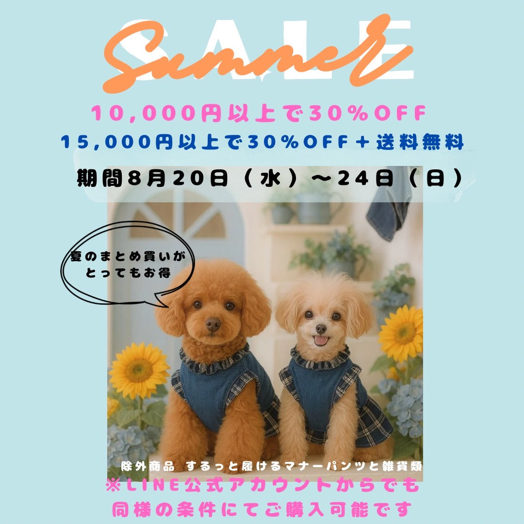 お得なセール期間中！