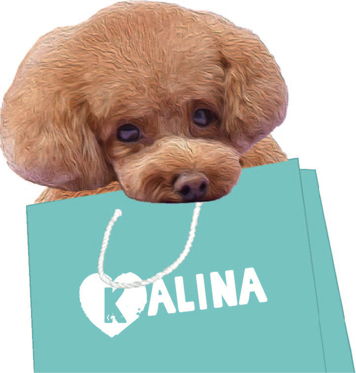 KALINA outlet　オープンしました。