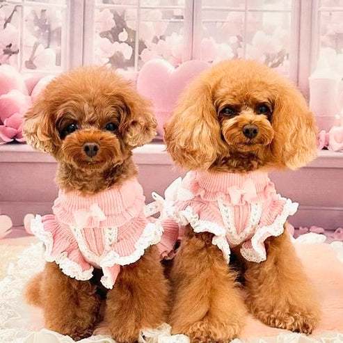 カシミヤ混レース貼り付けワンピース | 犬服 小型犬 ドッグウェア 秋冬