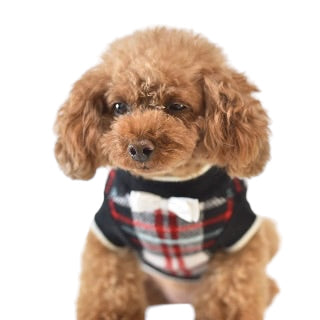チェック柄ニット フリルあり・フリルなし | 犬服 小型犬 ドッグウェア