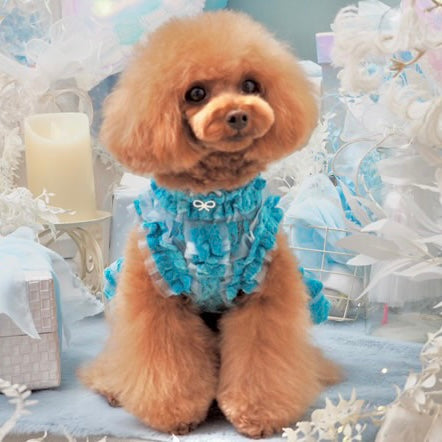 総レースワンピース | 犬服 小型犬 ドッグウェア KALINA