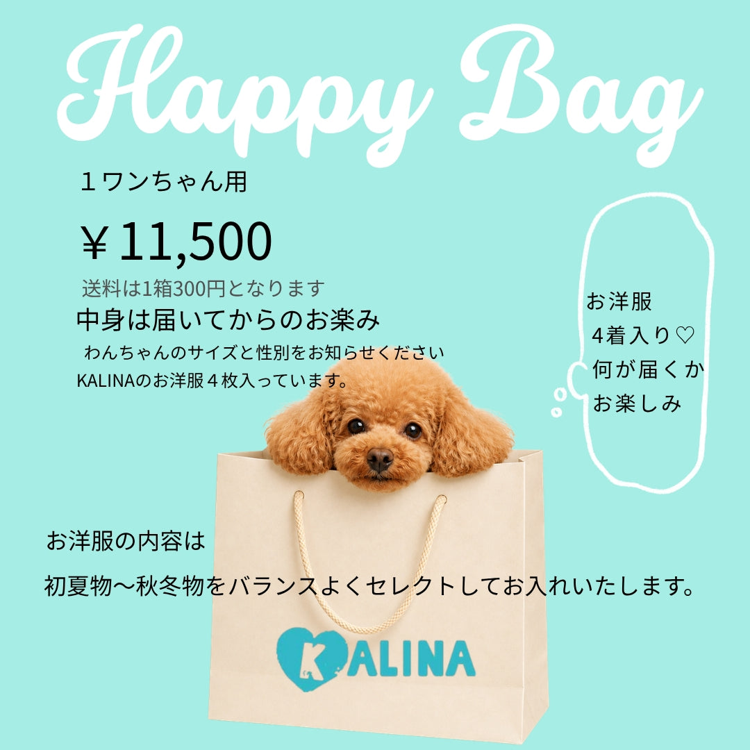 HAPPY BAG