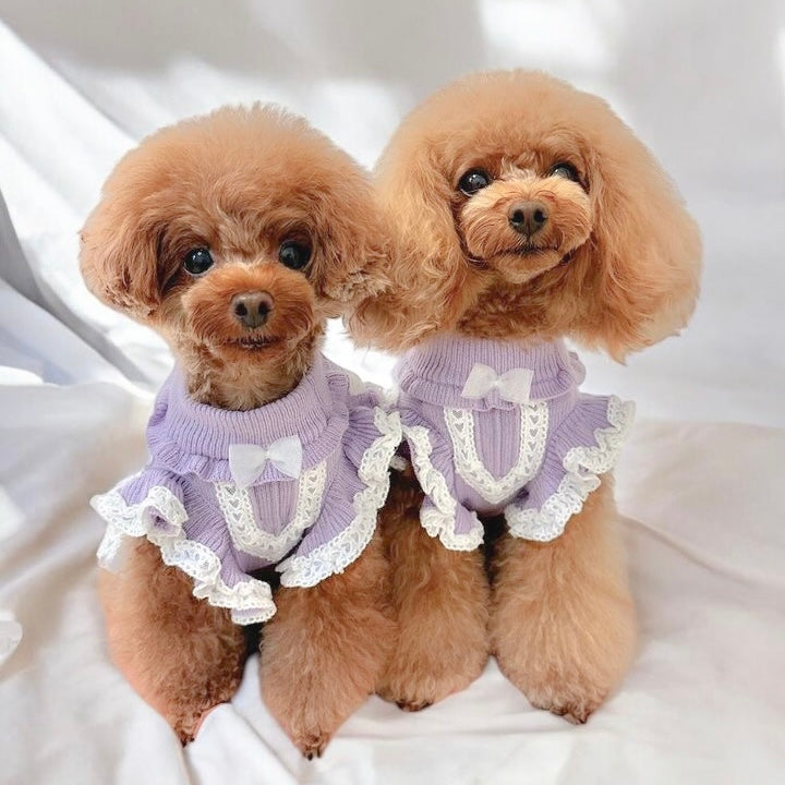 カシミヤ混レース貼り付けワンピース | 犬服 小型犬 ドッグウェア 秋冬 KALINA