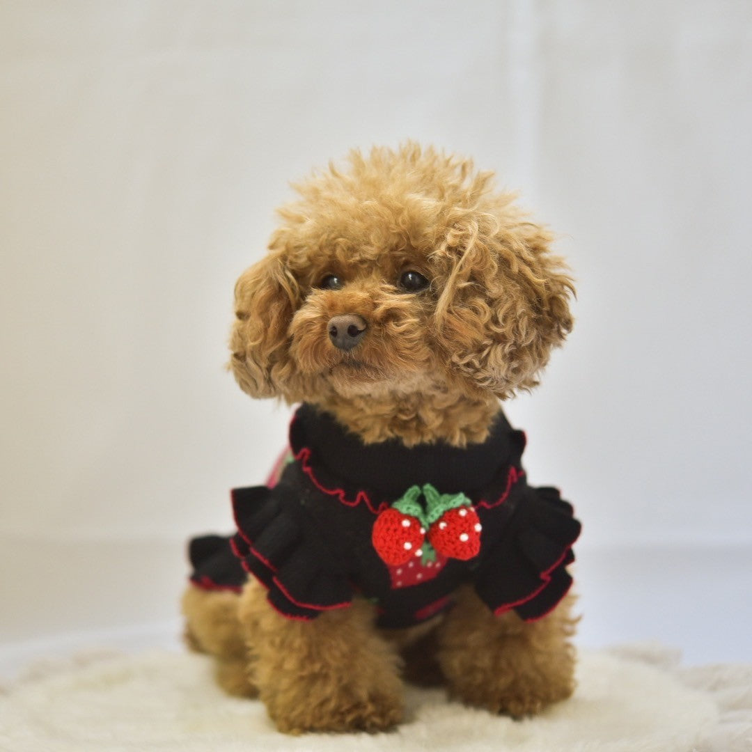 いちご柄ニット（フリルあり/フリルなし）| 犬服 小型犬 ドッグウェア  KALINA