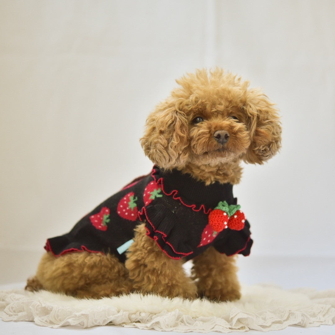 いちご柄ニット（フリルあり/フリルなし）| 犬服 小型犬 ドッグ