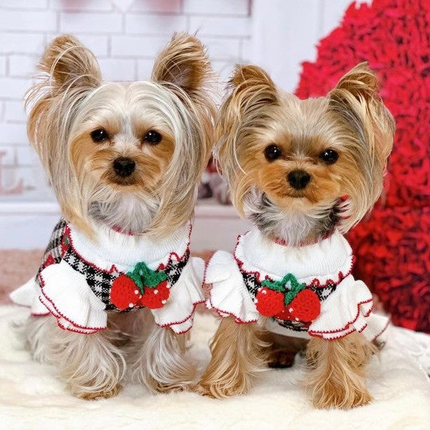 恋いちごワンピースのセットイントレーナー犬服  （胴回り33〜49センチ） 楽天市場】きゃんナナ CanNana 冬いちごスウィートワンピース