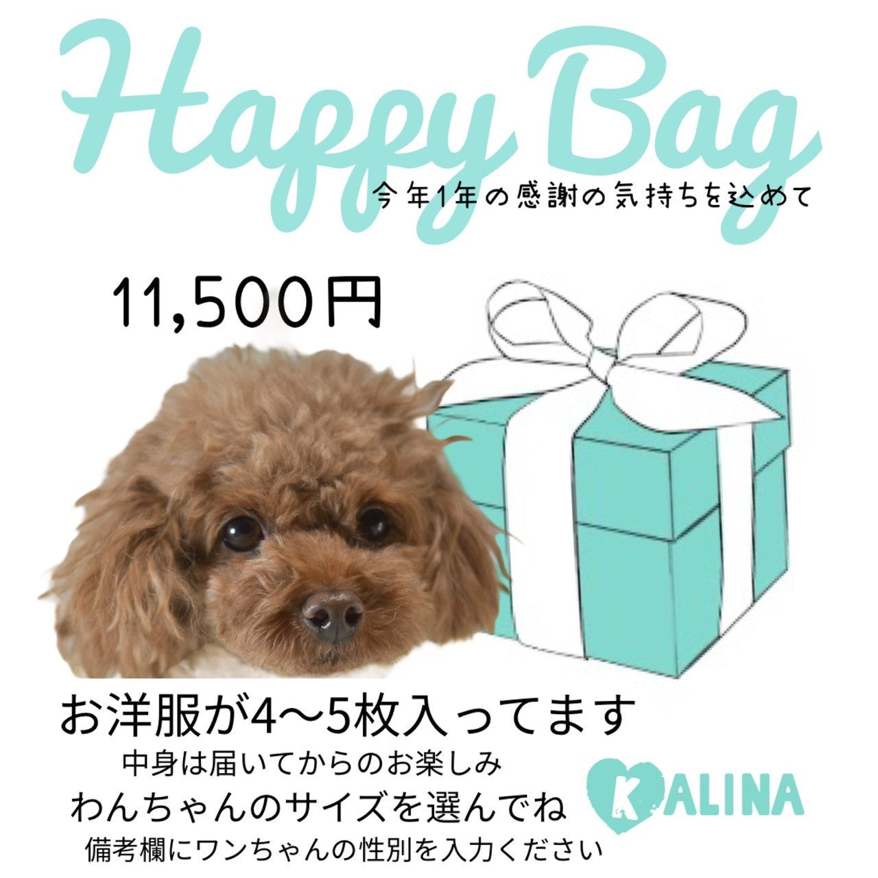 HAPPY BAG　2024-2025