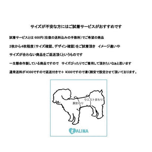 【新作】ニットランダムボーダーワンピース｜犬服 小型犬 ドッグウェア  KALINA