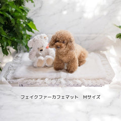 LINE_ALBUM__M__240919_2_240x.