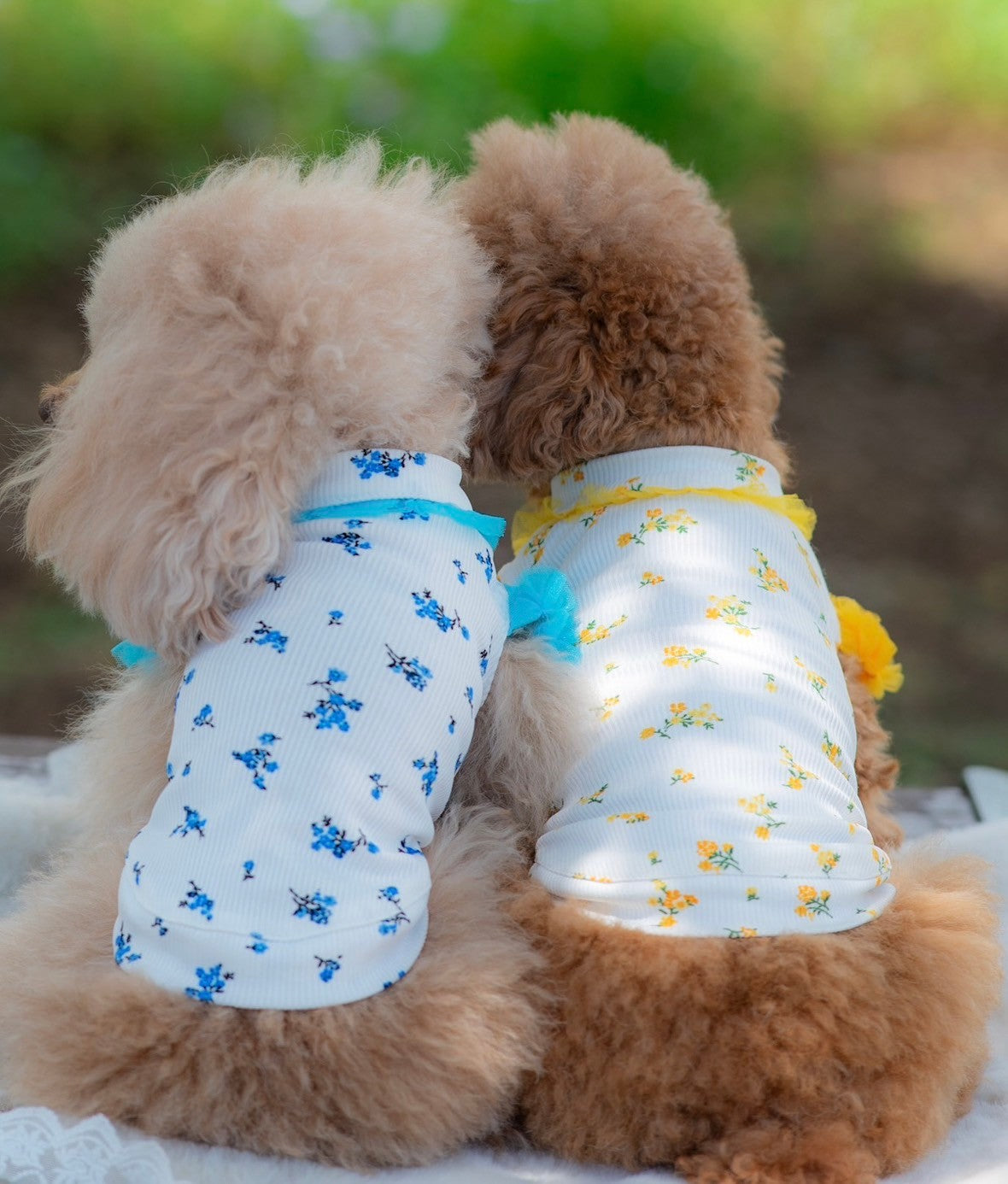 テレコ小花プリントTシャツ | 犬服 小型犬 ドッグウェア KALINA