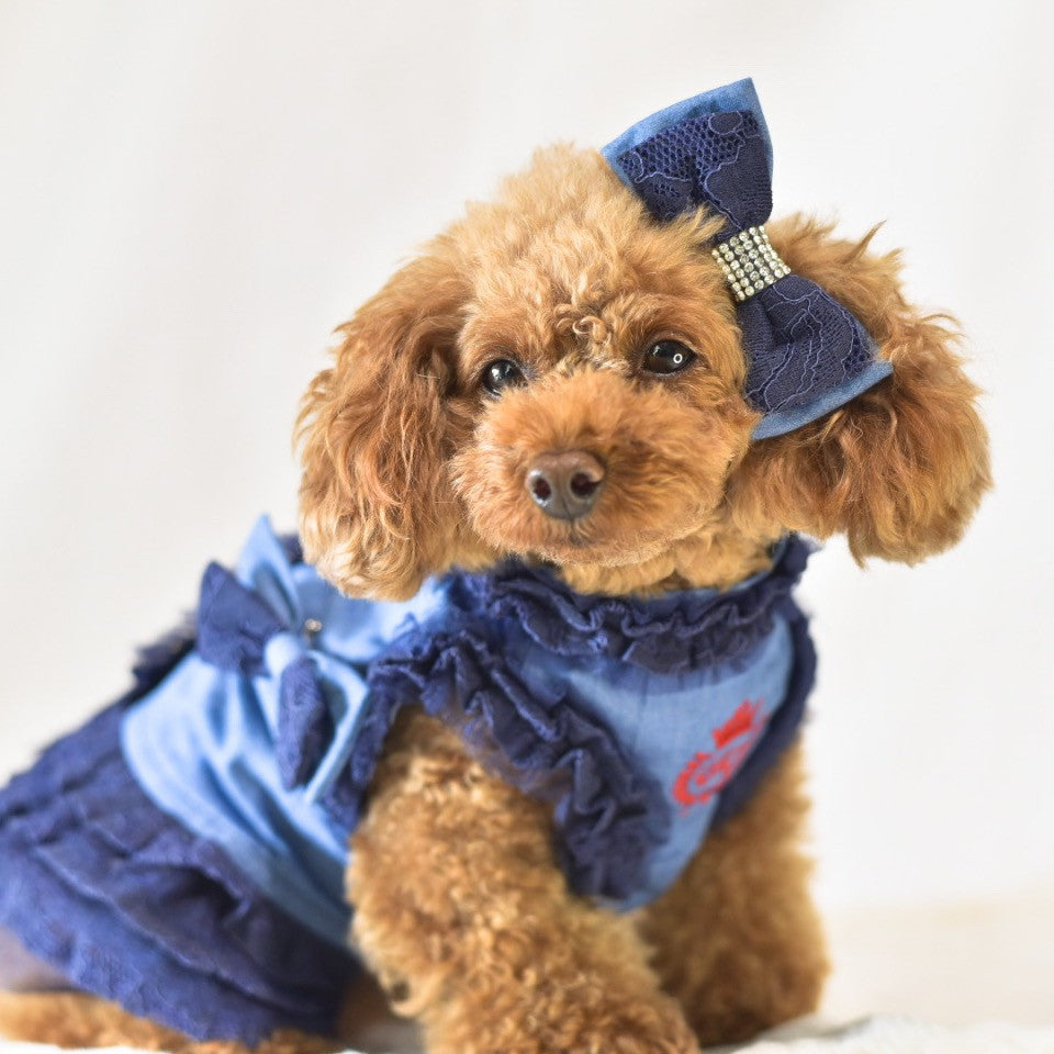 キラキラタイプバレッタ | 犬服 小型犬 ドッグウェア KALINA - ワンコ