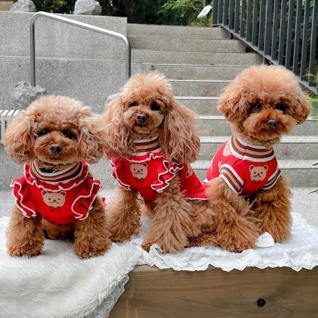 くまさん柄ニット（フリルあり/なし）| 犬服 小型犬 ドッグウェア 秋冬 KALINA