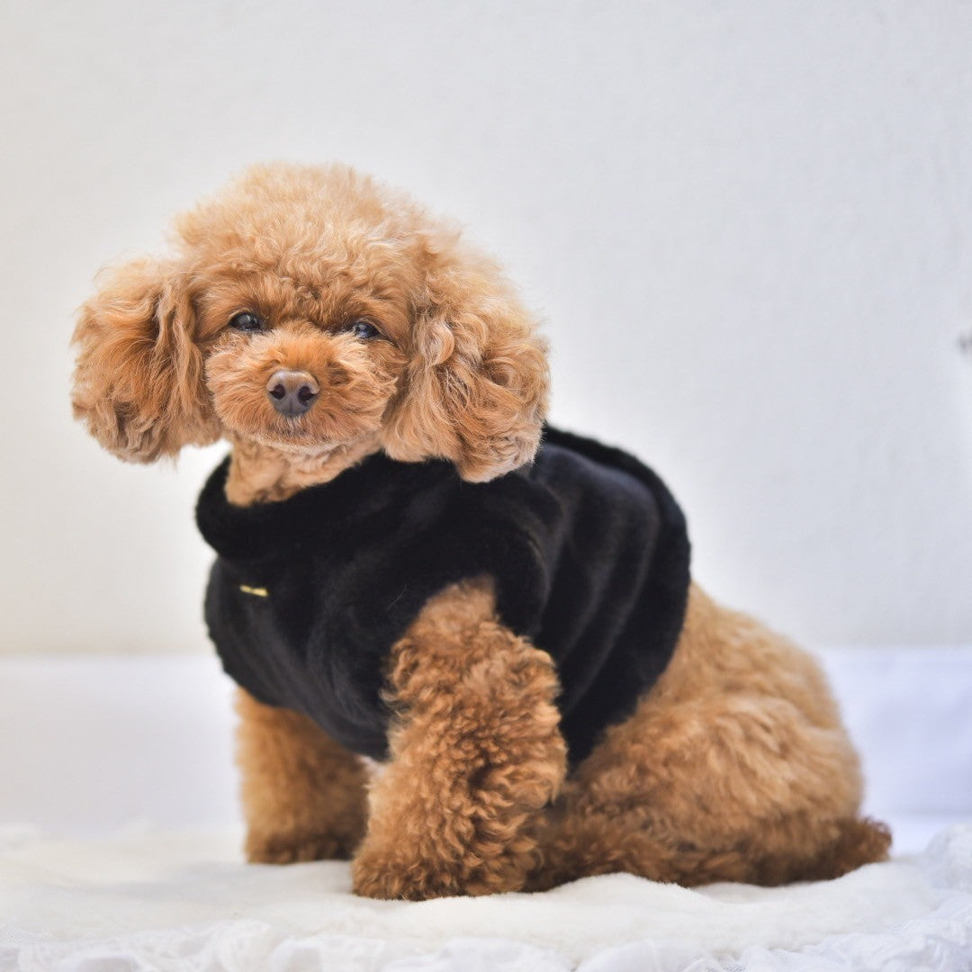 ふわもこハーネス | 犬服 小型犬 ドッグウェア 秋冬 KALINA