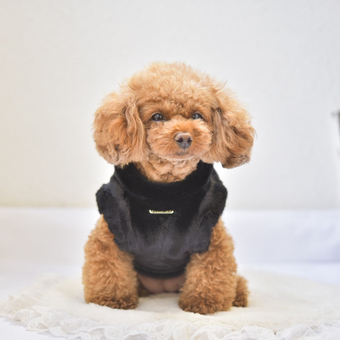 ふわもこハーネス | 犬服 小型犬 ドッグウェア 秋冬 KALINA