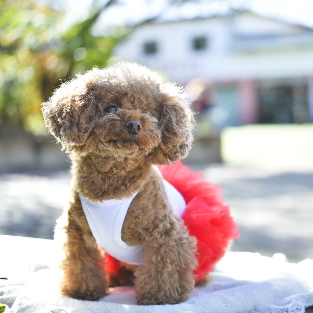 インナーチュチュワンピース| 犬服 小型犬 ドッグウェア KALINA