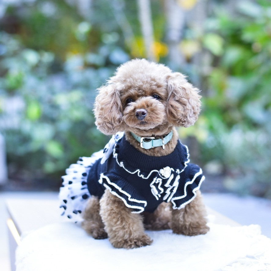 フリル取り外し　お召し替えフリル＆リボン | 犬服 小型犬 ドッグウェア 秋冬 KALINA