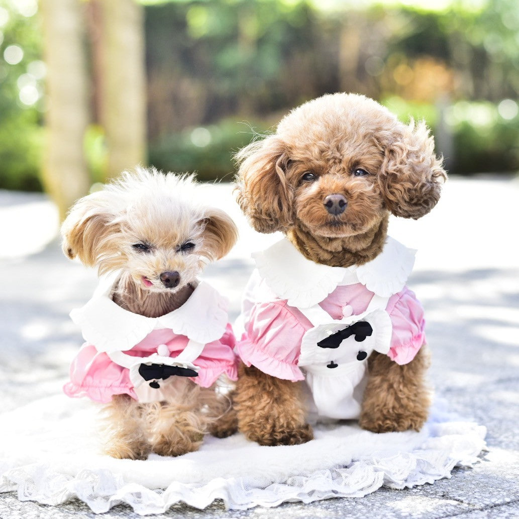【新色】メイドさんワンピース＆エプロンセット | 犬服 小型犬 ドッグウェア KALINA