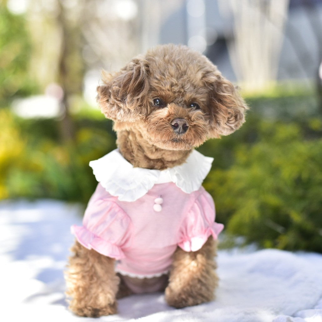 ♥︎︎もっち♥︎︎ ハンドメイド 犬服 クラシカルローズ ピンク ワンピース 春 メイドさんワンピース＆エプロンセット | 犬服 小型犬 ドッグウェア