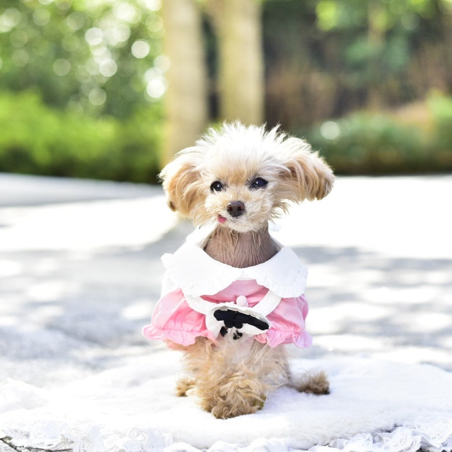 メイドさんワンピース＆エプロンセット | 犬服 小型犬 ドッグウェア