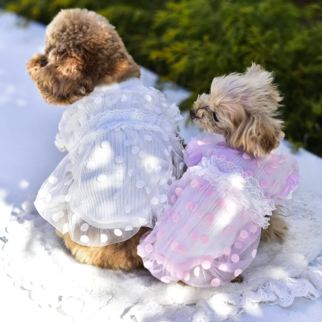 ニットバルーンワンピース | 犬服 小型犬 ドッグウェア KALINA