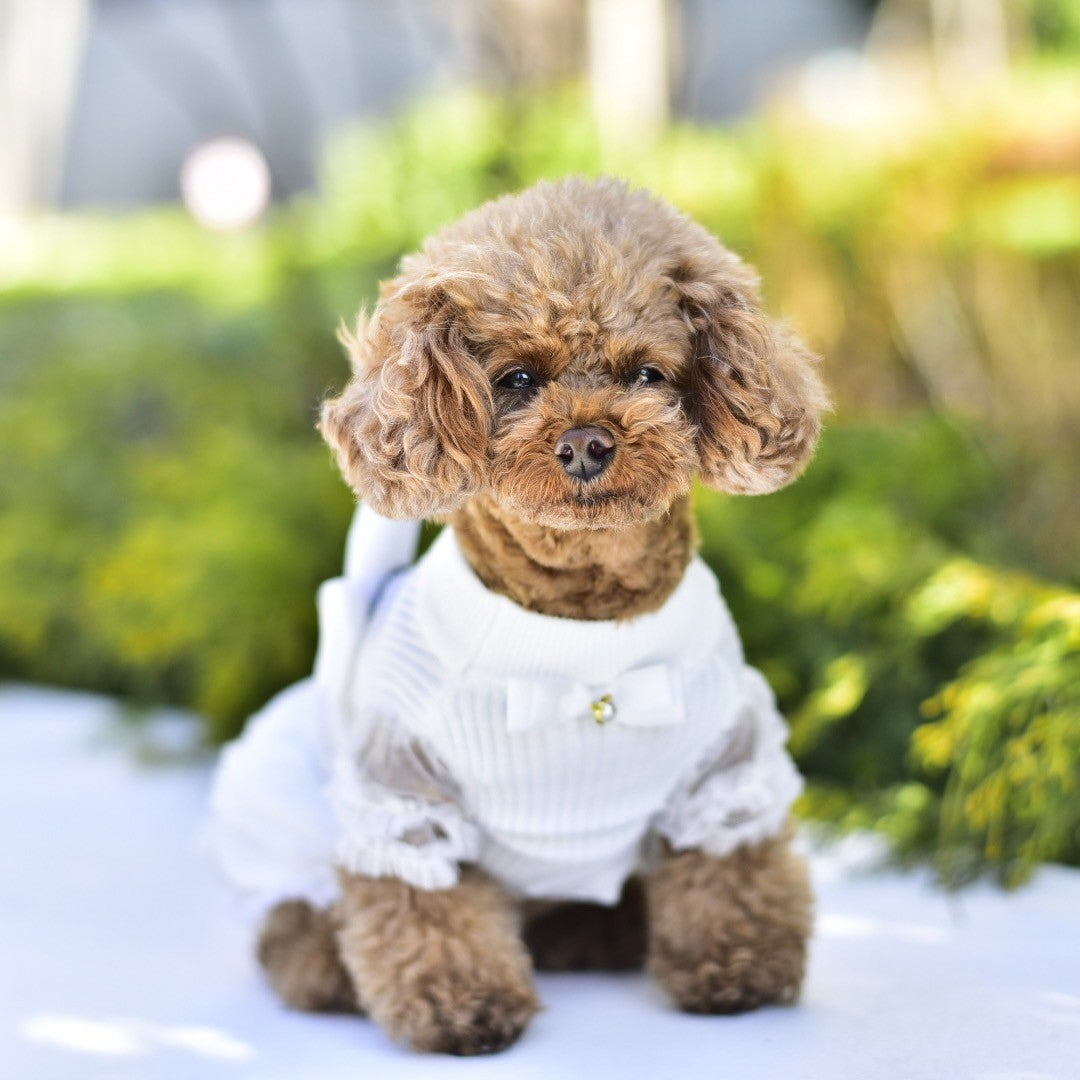 ニットリブパフスリーブワンピース | 犬服 小型犬 ドッグウェア KALINA