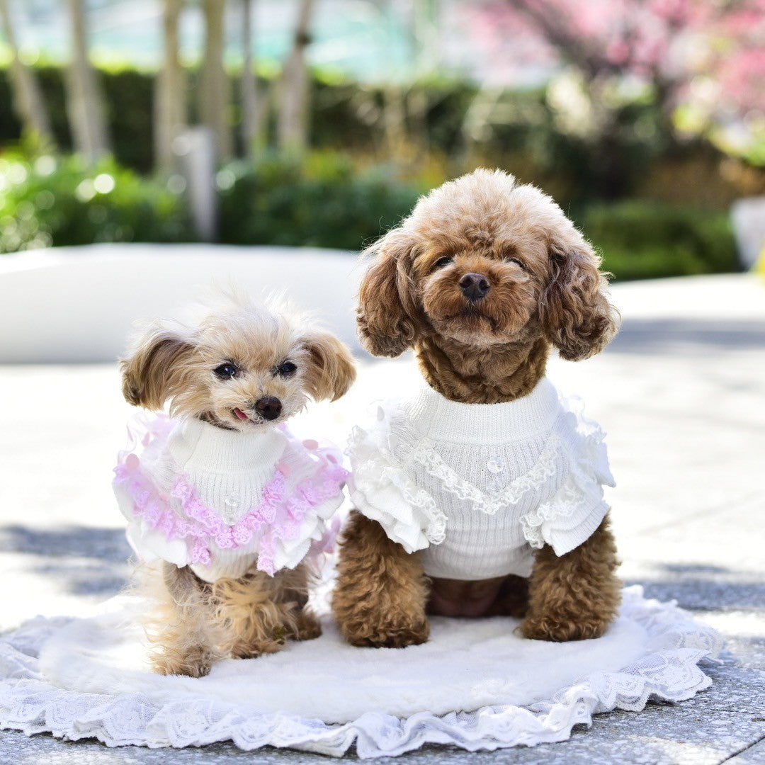 ニットバルーンワンピース | 犬服 小型犬 ドッグウェア KALINA
