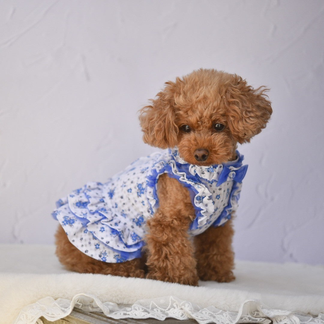 小花柄ワンピース | 犬服 小型犬 ドッグウェア KALINA
