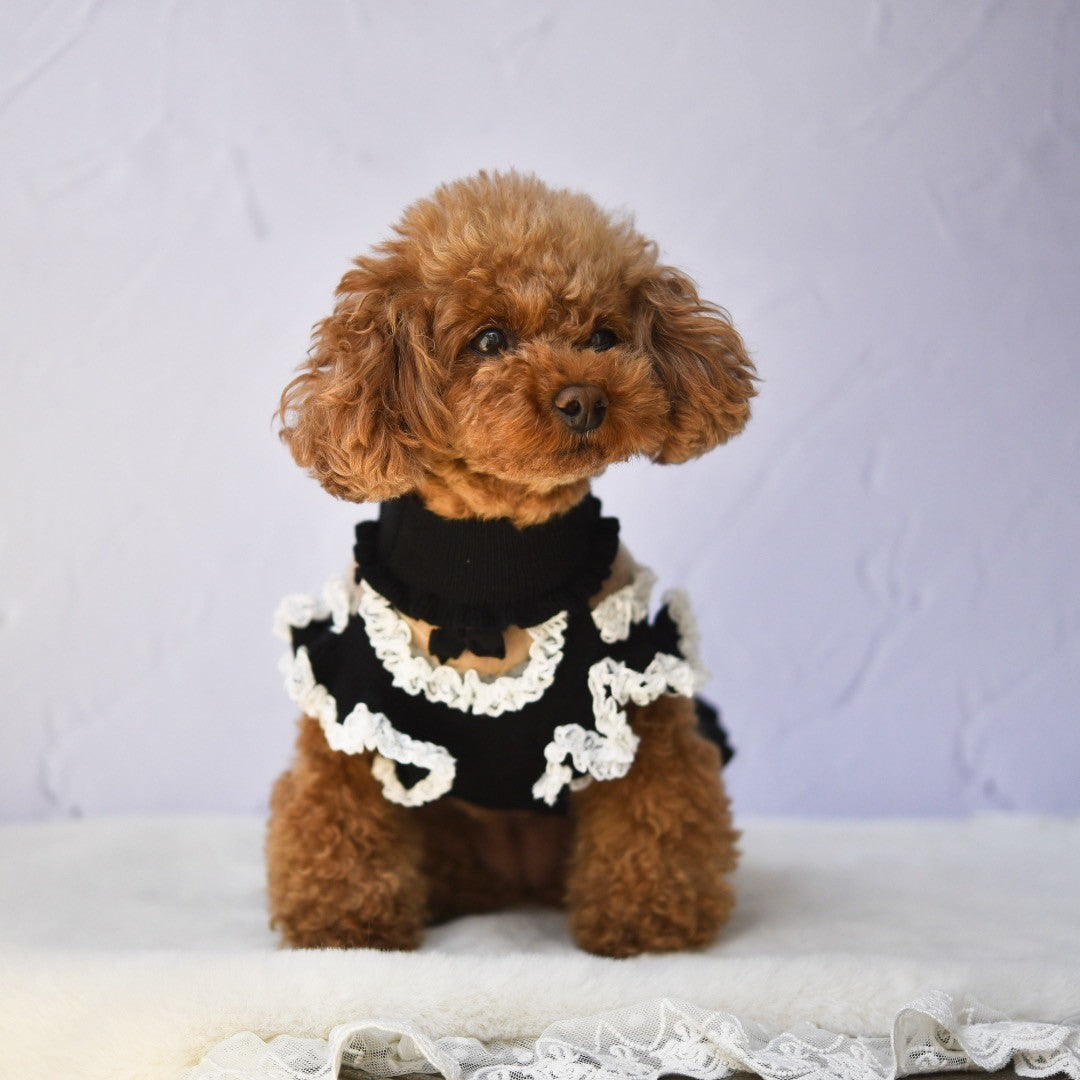 チュールヨーク切り替えワンピース | 犬服 小型犬 ドッグウェア KALINA