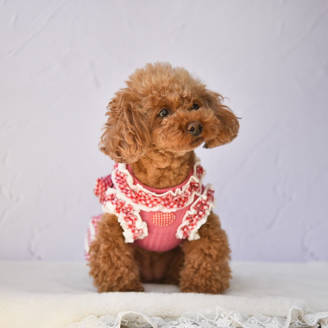 リブギンガムチェックワンピース | 犬服 小型犬 ドッグウェア KALINA