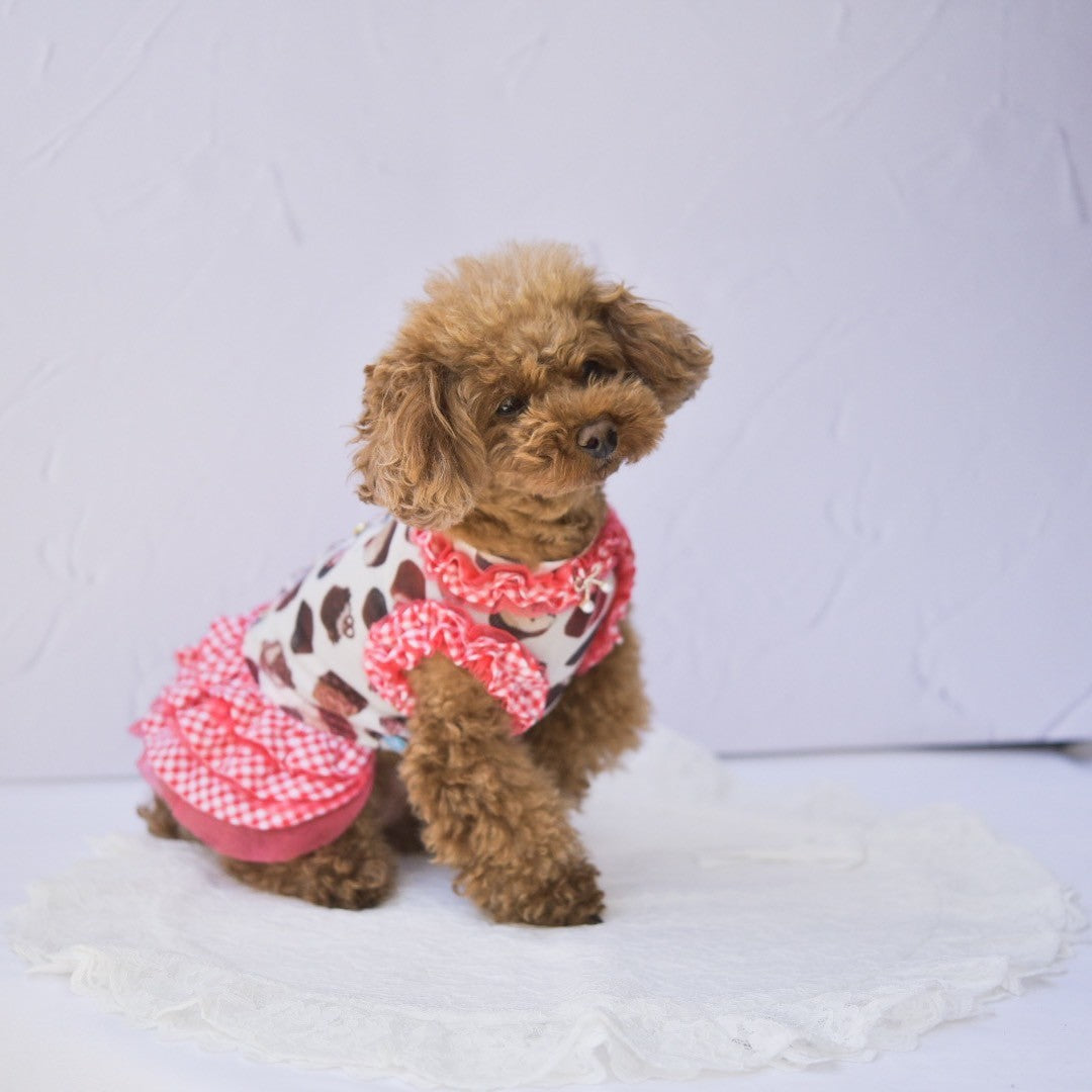 ケーキプリントワンピース | 犬服 小型犬 ドッグウェア KALINA