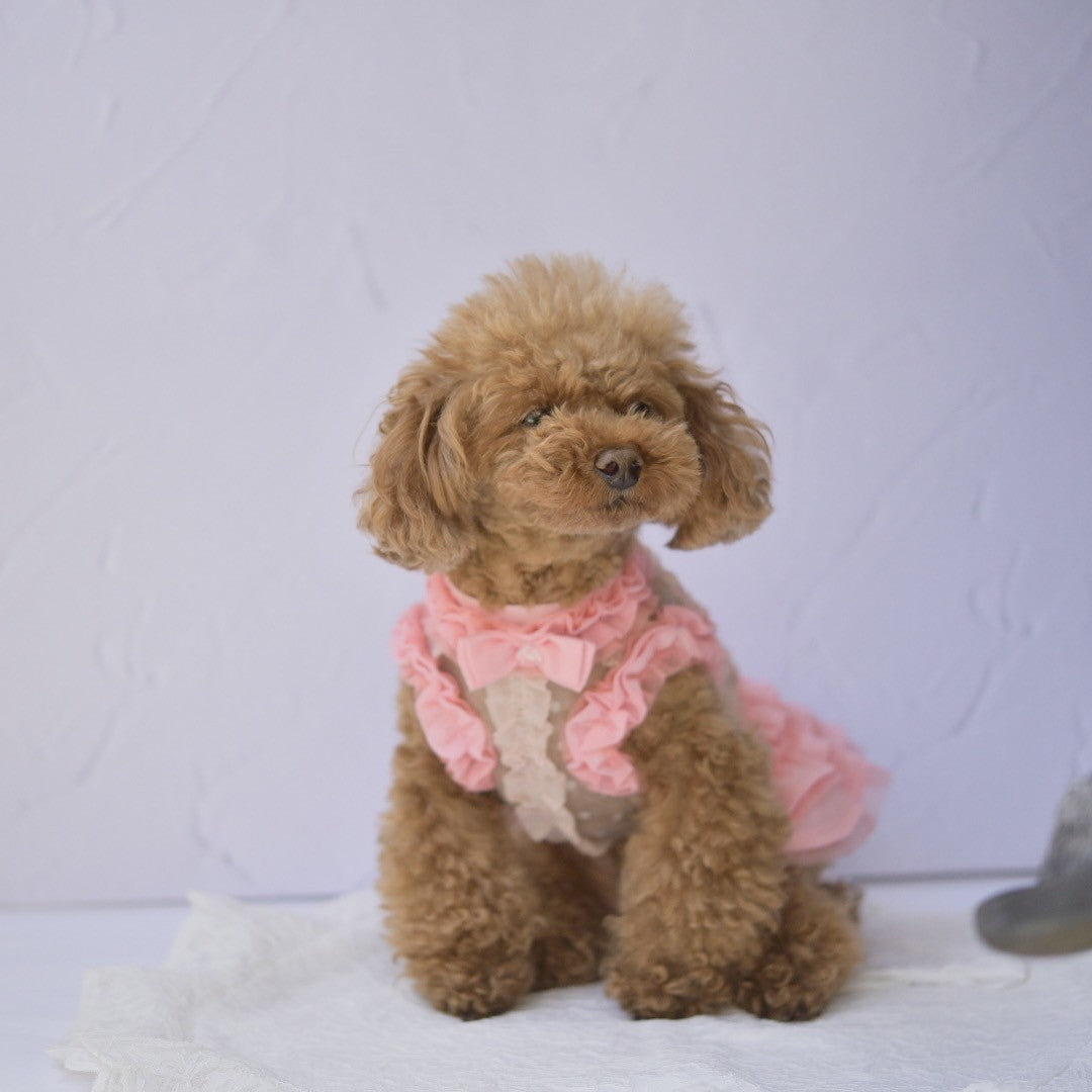 ドットチュールフリルワンピース | 犬服 小型犬 ドッグウェア KALINA
