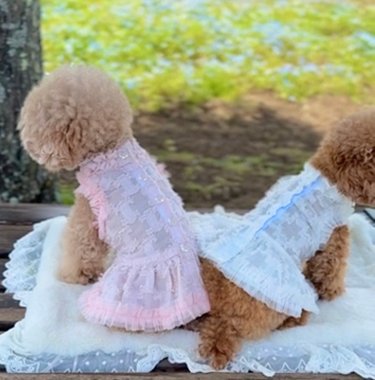 シアー千鳥ワンピース | 犬服 小型犬 ドッグウェア KALINA