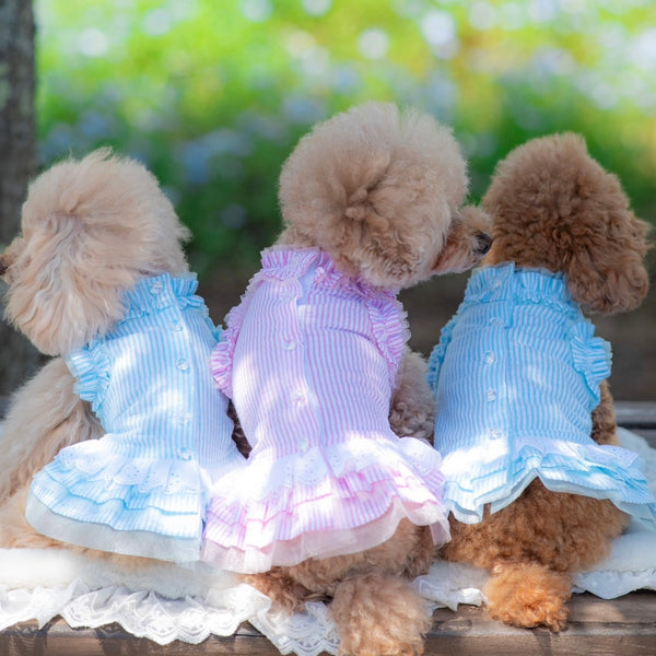 ラメストライプワンピース | 犬服 小型犬 ドッグウェア KALINA