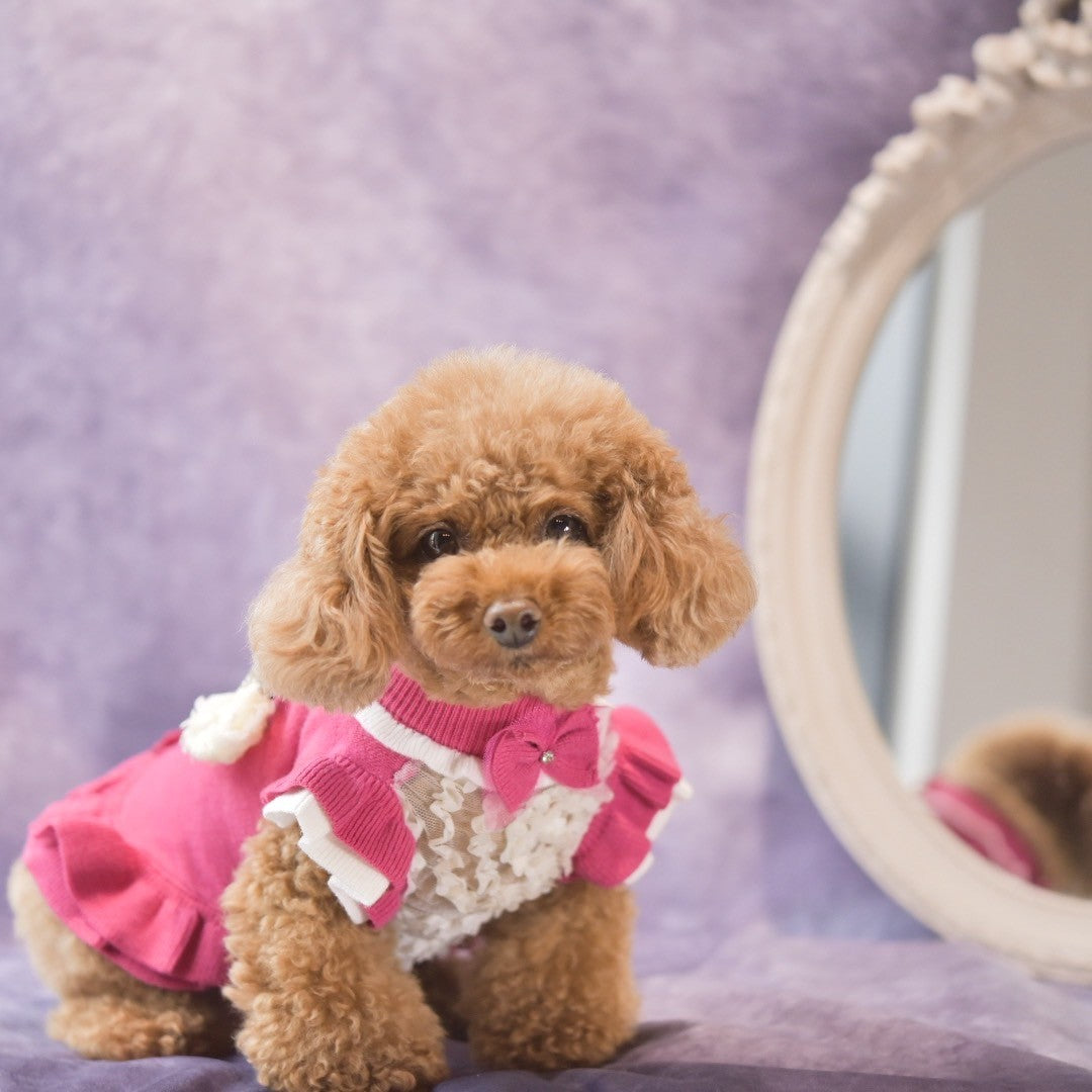 ニット配色ラインワンピース | 犬服 小型犬 ドッグウェア 秋冬 KALINA