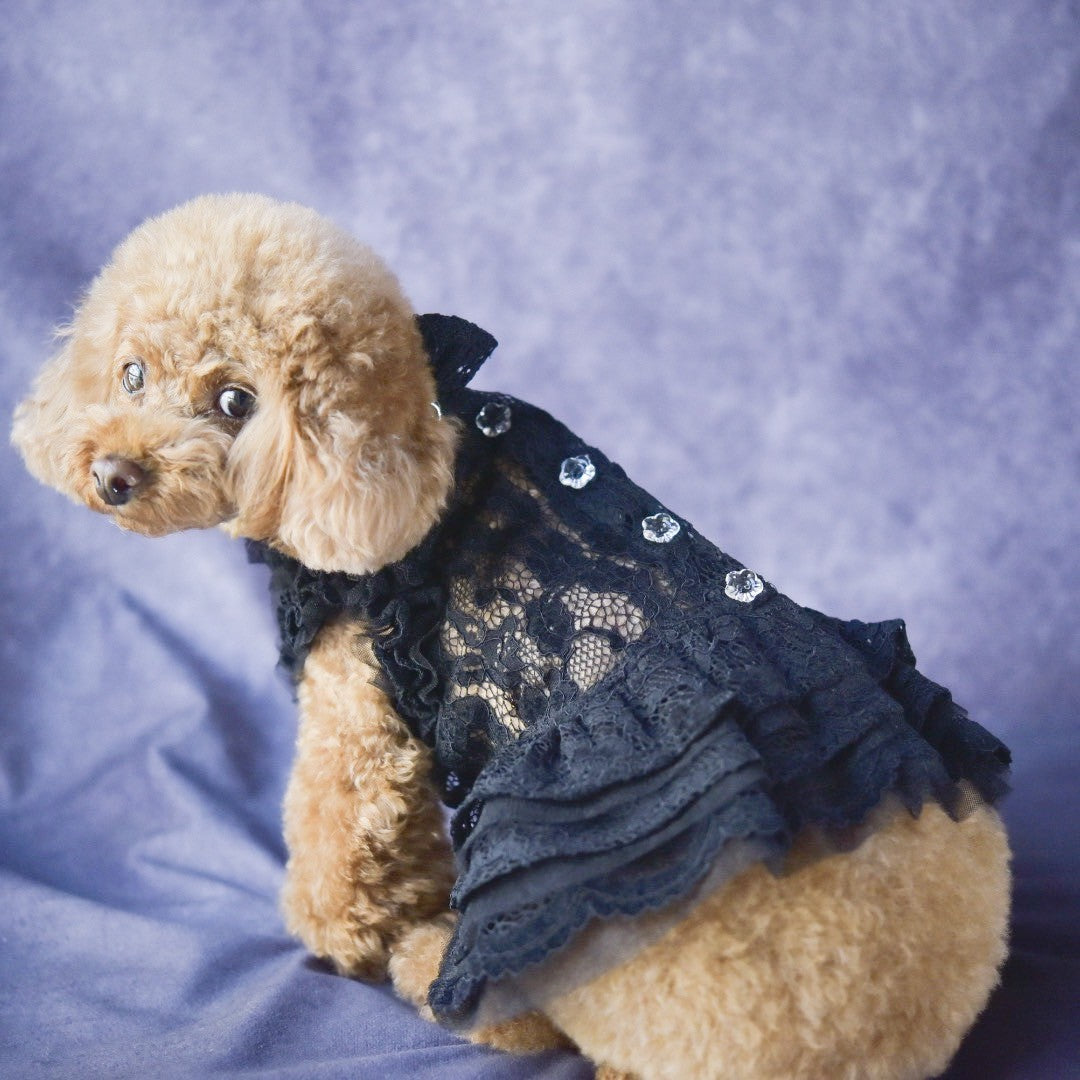 総レースワンピース | 犬服 小型犬 ドッグウェア KALINA - ワンコ服