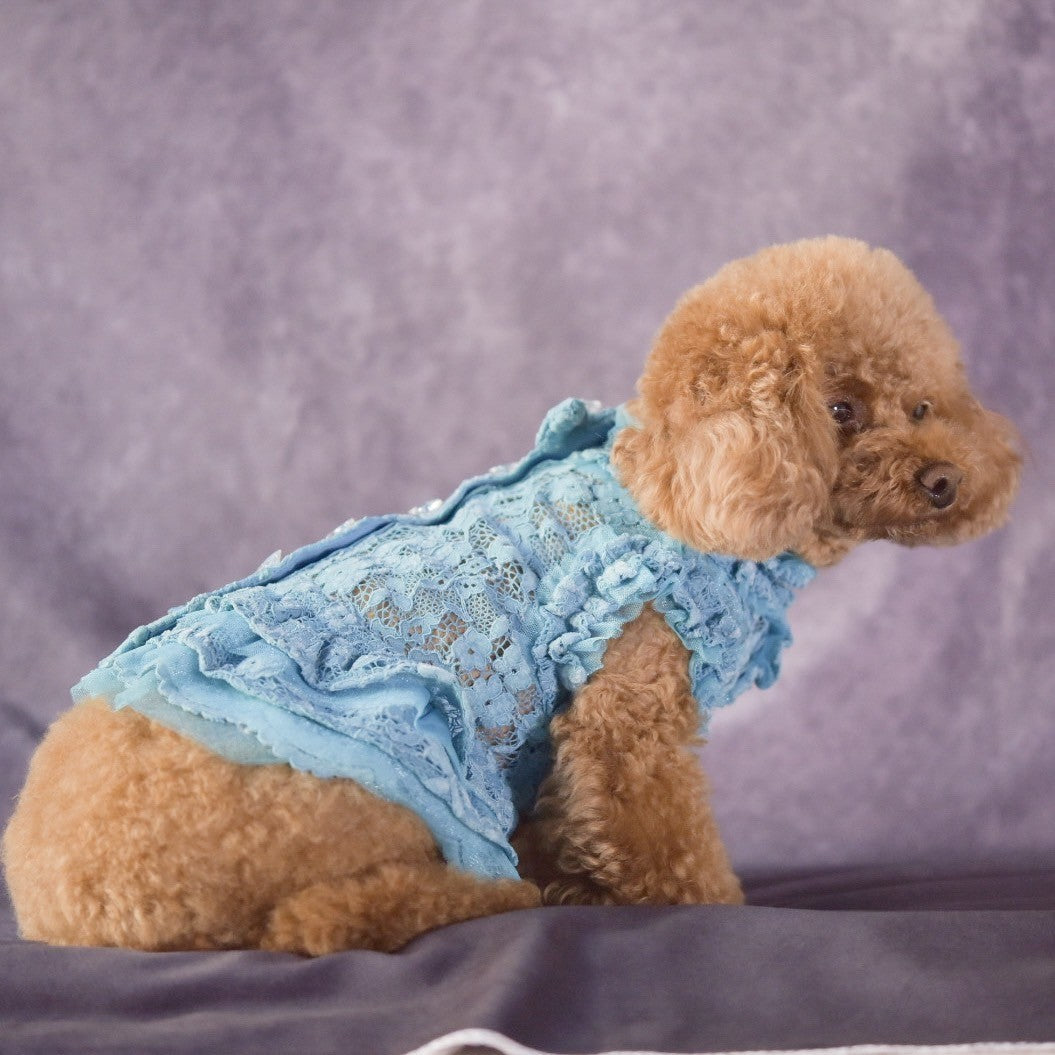 総レースワンピース | 犬服 小型犬 ドッグウェア KALINA - ワンコ服