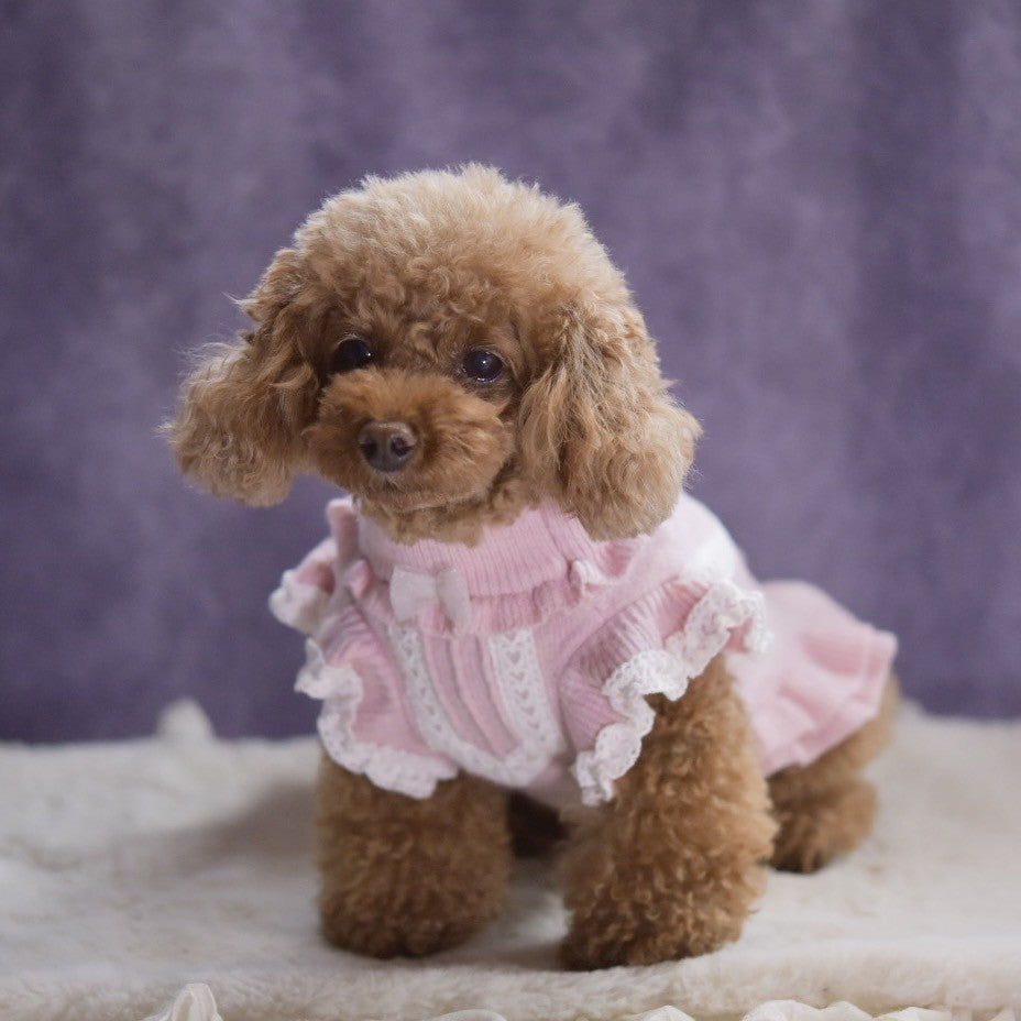カシミヤ混レース貼り付けワンピース | 犬服 小型犬 ドッグウェア 秋冬 KALINA