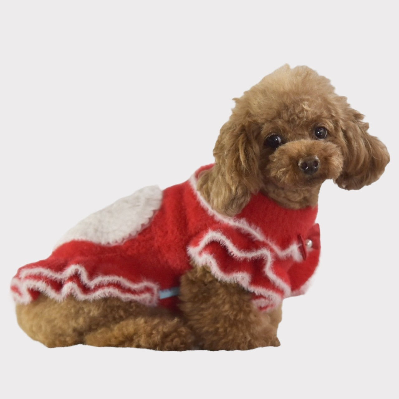 フェレット風ハートモチーフワンピース | 犬服 小型犬 ドッグウェア 秋冬 KALINA