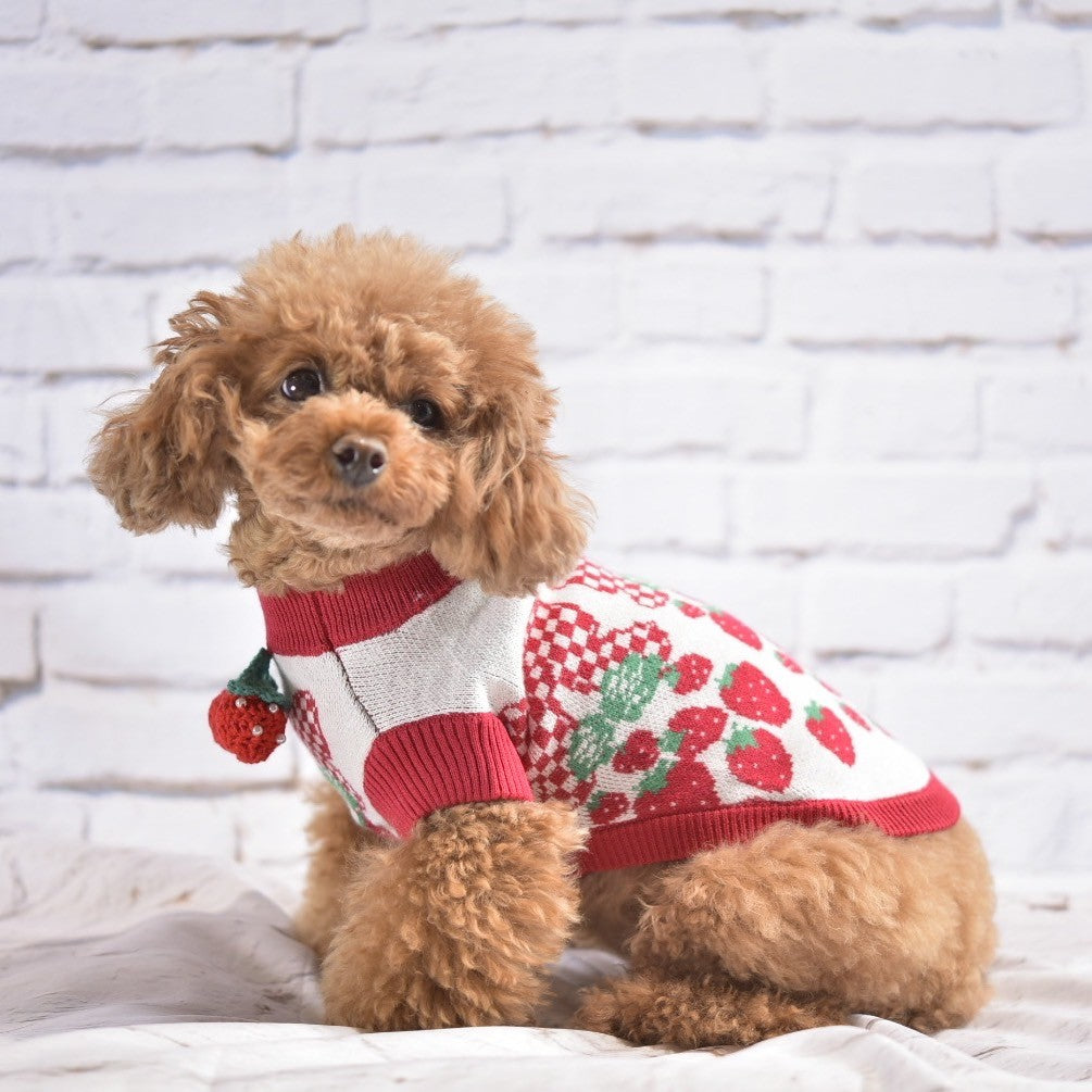 【オーダー】紅いちご×デニムフリルスカートのセットイントレーナー犬服 ニットリボンいちご柄フリル有 フリル無し | 犬服 小型犬 ドッグウェア
