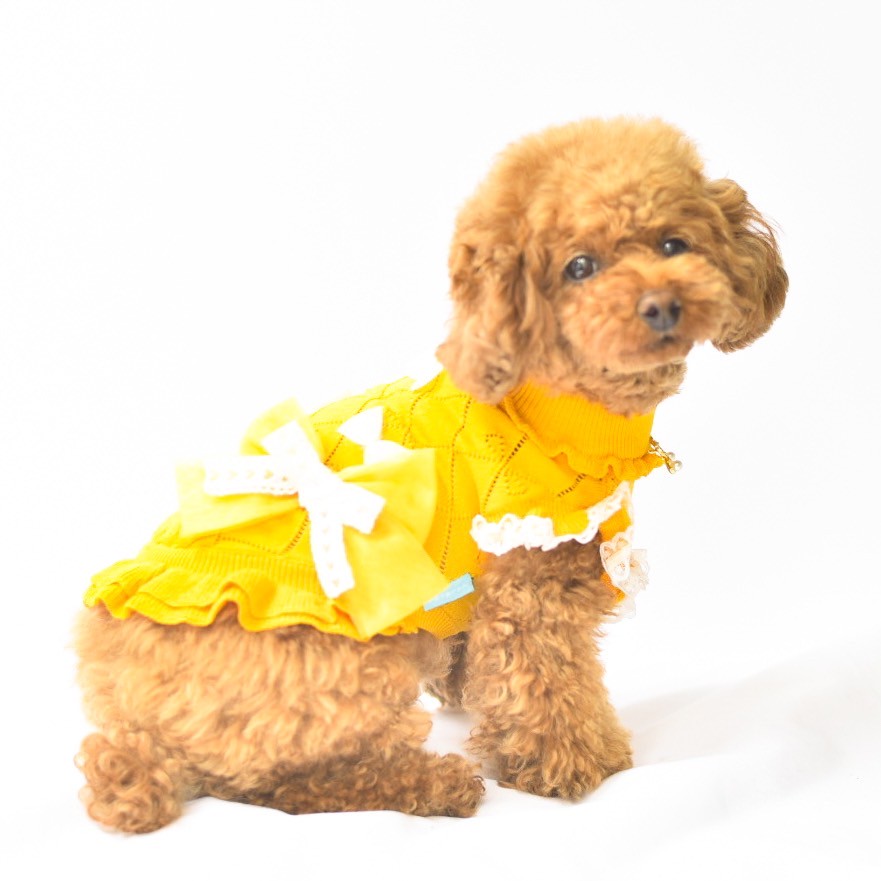 ニットダイヤリボン透かし柄ワンピース| 犬服 小型犬 ドッグウェア 秋冬 KALINA