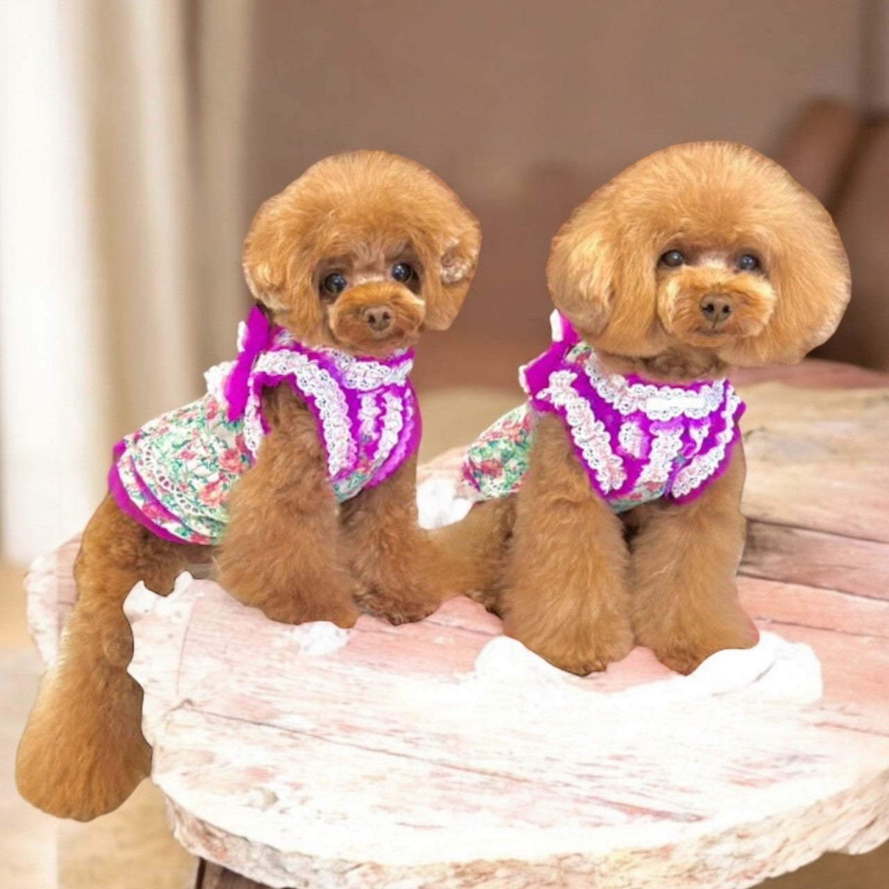 シフォンお花柄ワンピース - ワンコ服KALINA