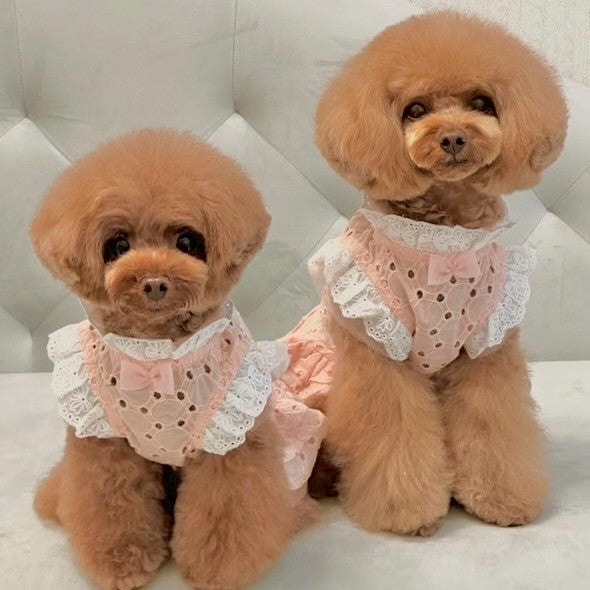 コットンレースワンピース| 犬服 小型犬 ドッグウェア KALINA