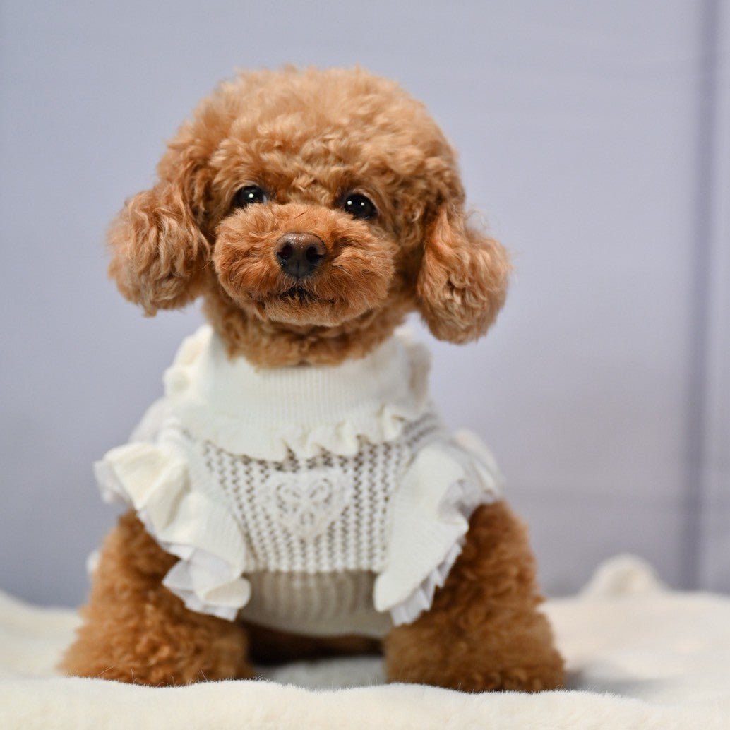 ニットワンピース メッシュ フリンジ 秋冬 ショート 韓国 ミックスカラーショートメッシュニット レディース 秋[品番
