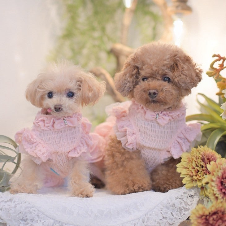 【kyon】Apolina キルティングワンピース　3-5y kyon】Apolina キルティングワンピース 3-5y Apolina Kids